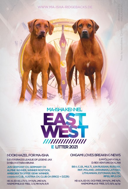 east west litter e1609142045495 E Wurf: Ma isha EastWest
