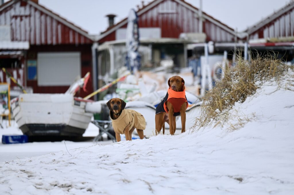  Ferien an der Ostsee