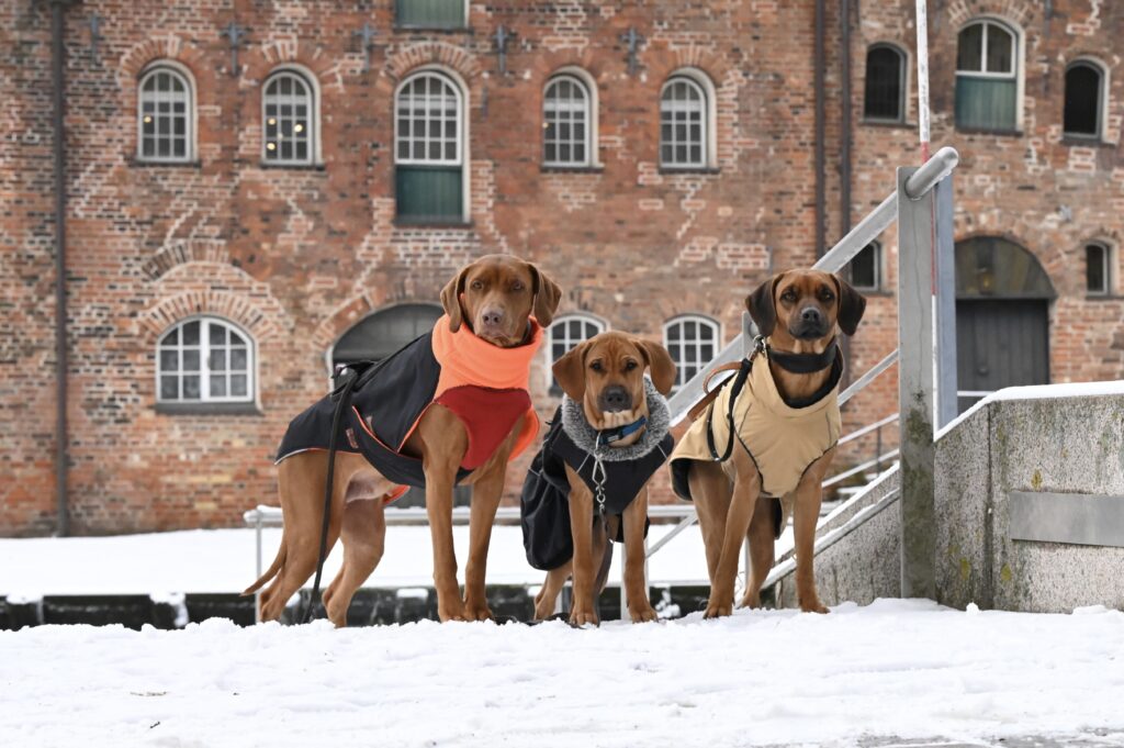  Ferien an der Ostsee