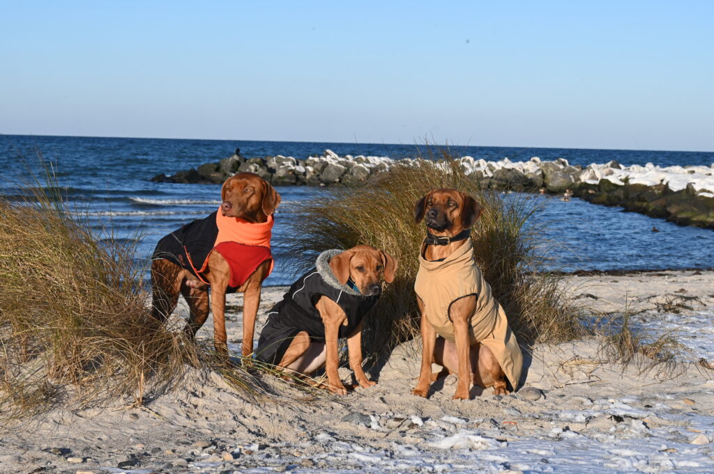  Ferien an der Ostsee