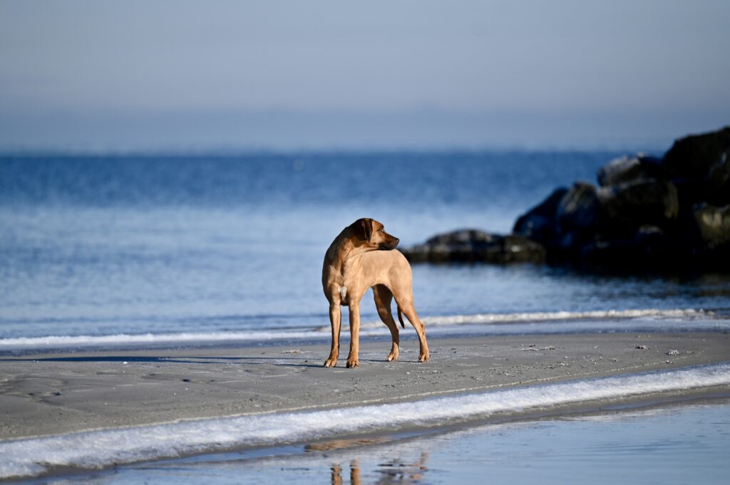  Ferien an der Ostsee