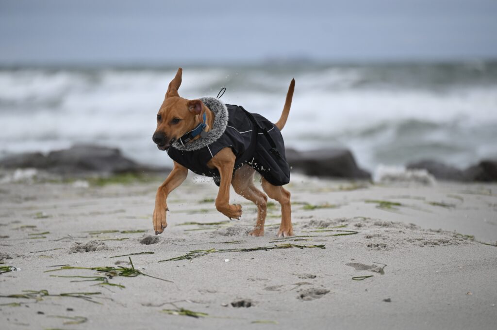  Ferien an der Ostsee